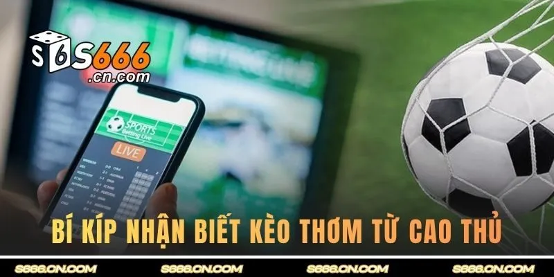 Bí kíp nhận biết kèo thơm từ cao thủ lâu năm