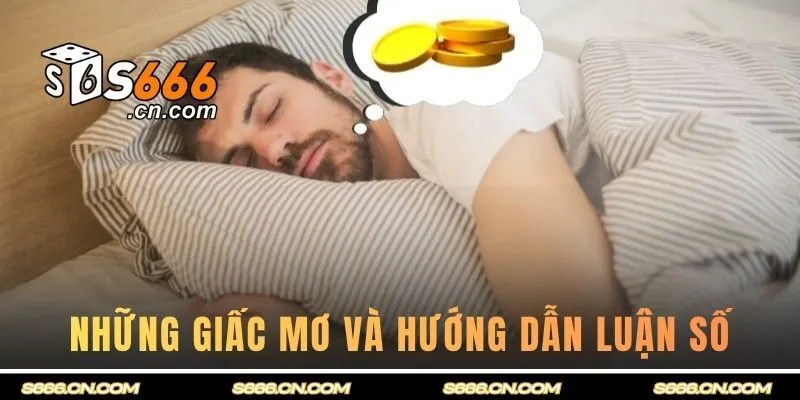 Những giấc mơ thường gặp và hướng dẫn luận số